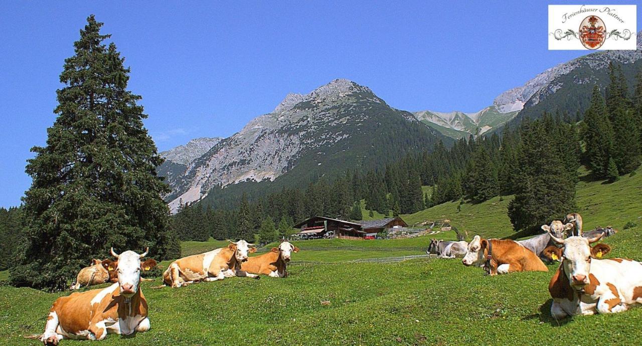 Ferienhaus Erika Seefeld no Tirol Exterior foto